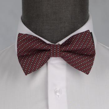 Бабочка мужская 0094