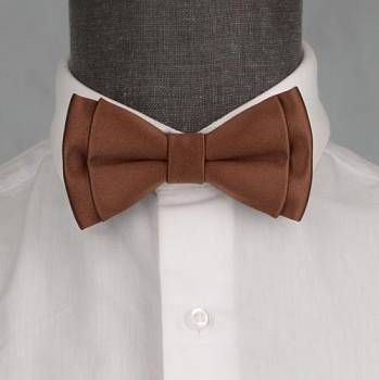 Бабочка мужская с платком 0229-1