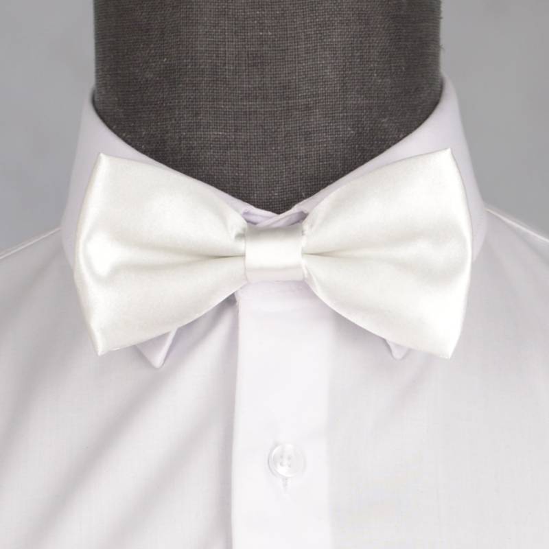 Бабочка мужская 0192