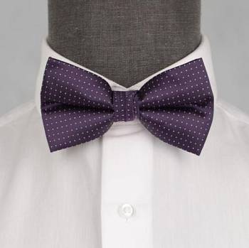 Бабочка мужская 0110